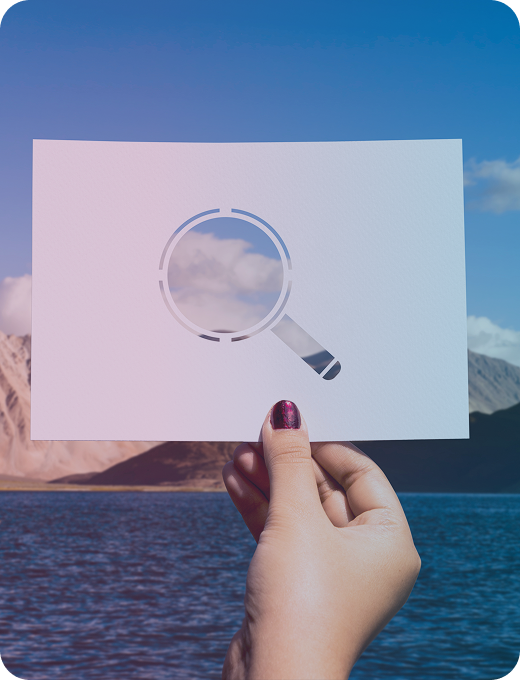 Assessment & Discovery