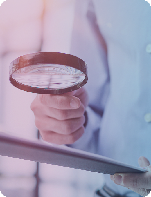 Discovery & Assessment